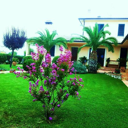 Elisa House Bed & Breakfast Foligno Dış mekan fotoğraf